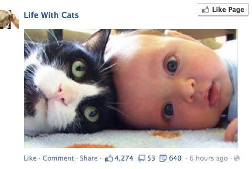 It's Peanut and ????