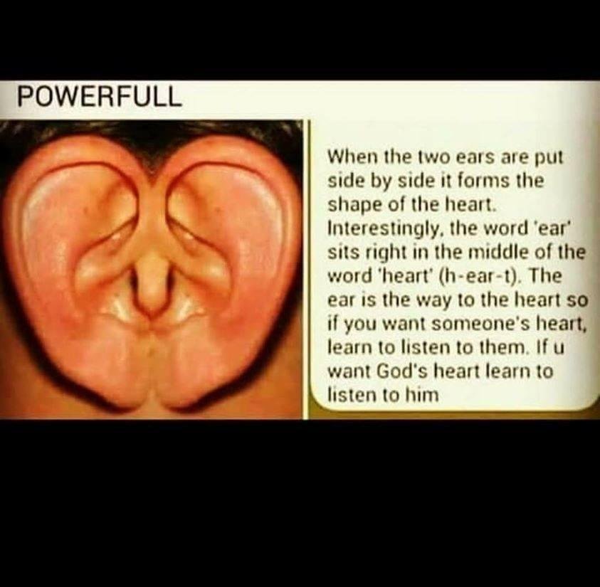 The other day a couple of friends and I were talking about the picture of the ear and the little story with it and it went like this:
Tom: Ever notice that the word mouth has OUT in the middle of it. That is where all the