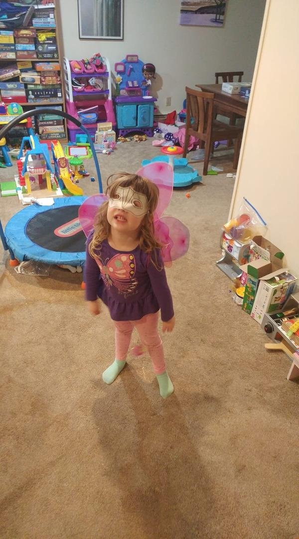My Fairy Butterfly Princess Superhero!