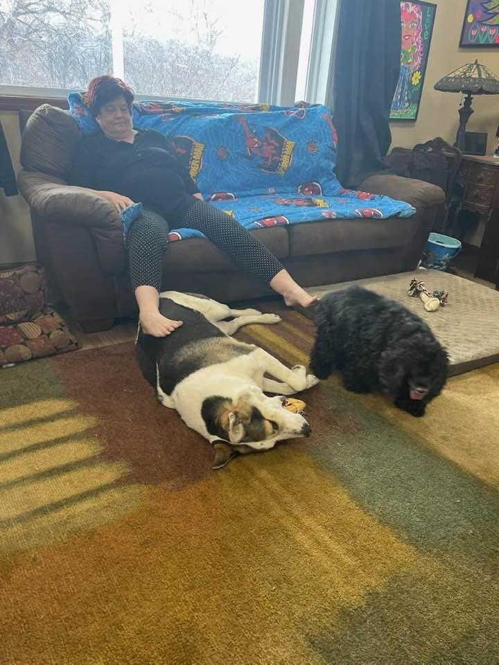 Multitasking woman, pets two dogs with her feet, watches television, and talks on the phone simultaneously
