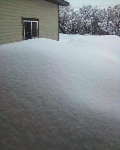 Looking out dining room Arcadia door ...under that pile is the BBQ! 02/07/11