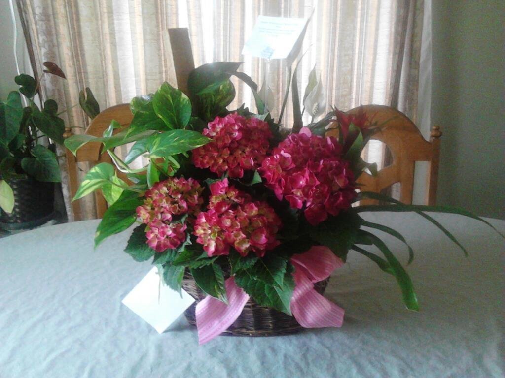 I love both arrangements!
