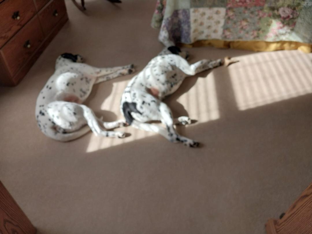 What to do on a sunny Sunday afternoon.