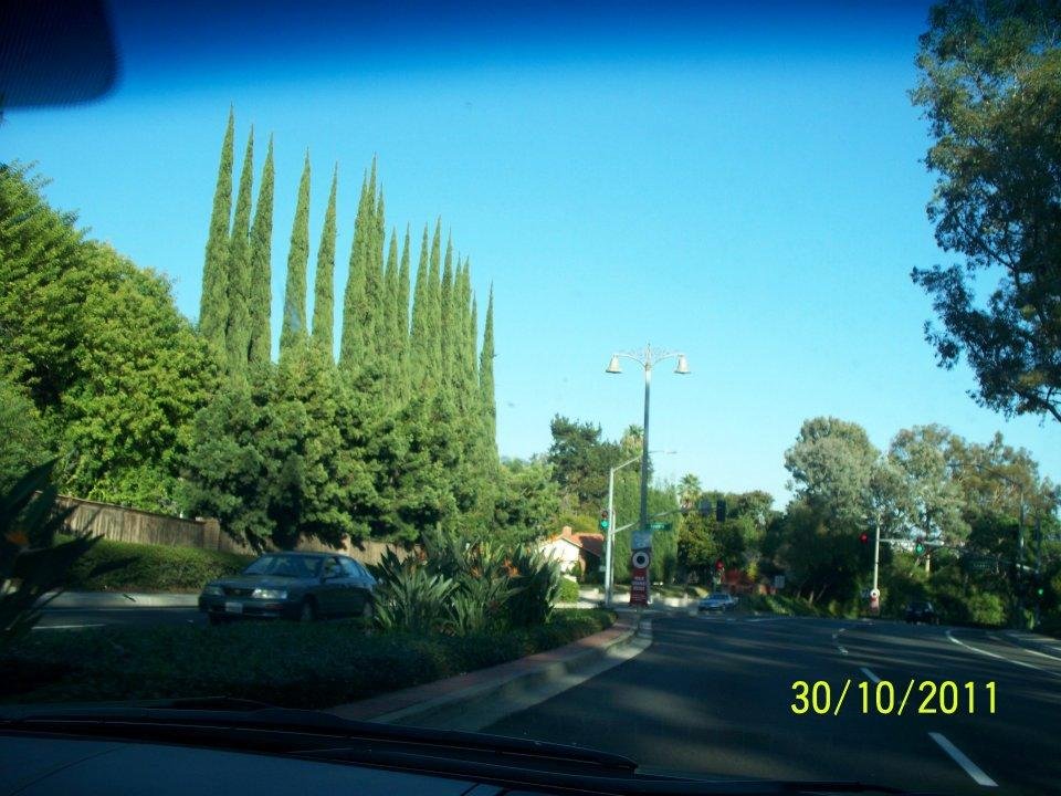 Eugene Armes' album, Vacationing OCT, Nov, Dec 2011