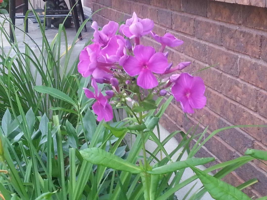 Susan Mallatratt's album, Timeline Photos