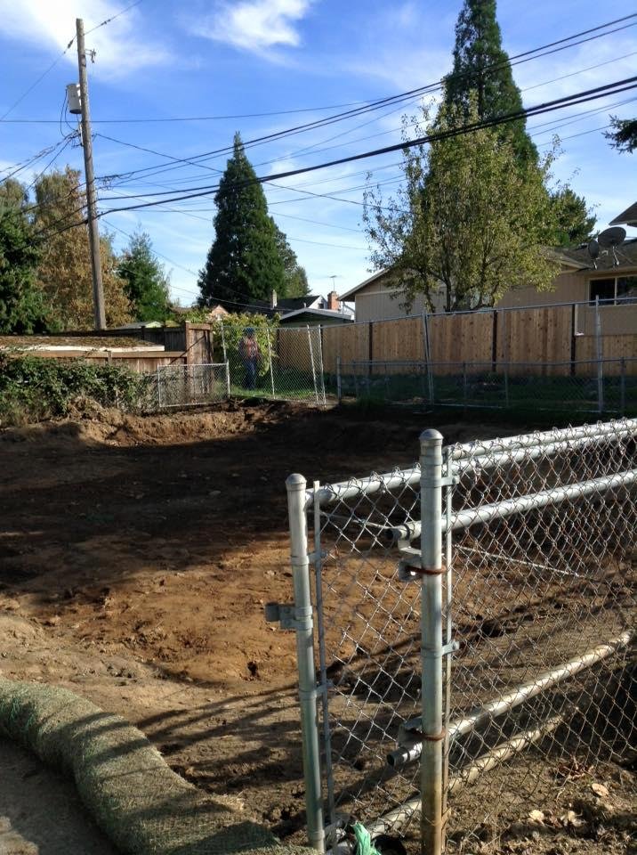 No trees, no contaminated dirt!
They said they might start bringing in clean dirt tomorrow.