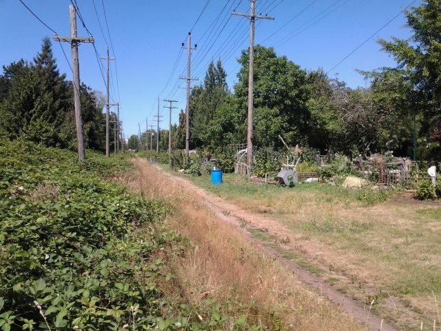 Pole pulling @ Arbutus & 51st, checked out the Arbutus corridor, hard to believe theres 2 ribbons of steel under the bushes.