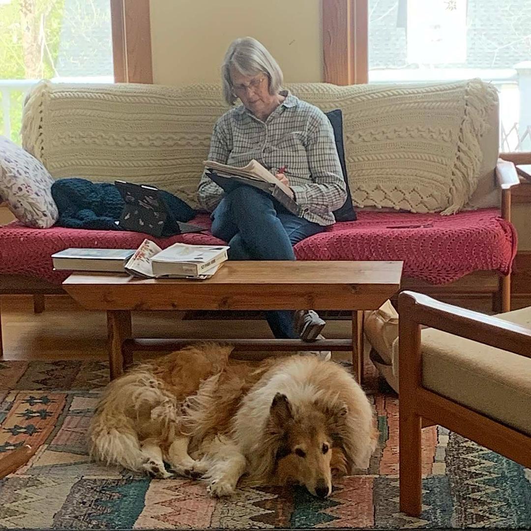 Tippy needed an afternoon nap before supper and her evening snooze. She aced it with minimum effort! #snoozer #snoozetime💤 #snooze #takingiteasy #lodi #lodiwi #puppynap #colliesoftheworld #dogsofwisconsin #wisconsindogs