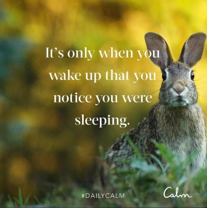 "Wake up, sleeper, rise from the dead, and Christ will shine on you." Ephesians 5:14
