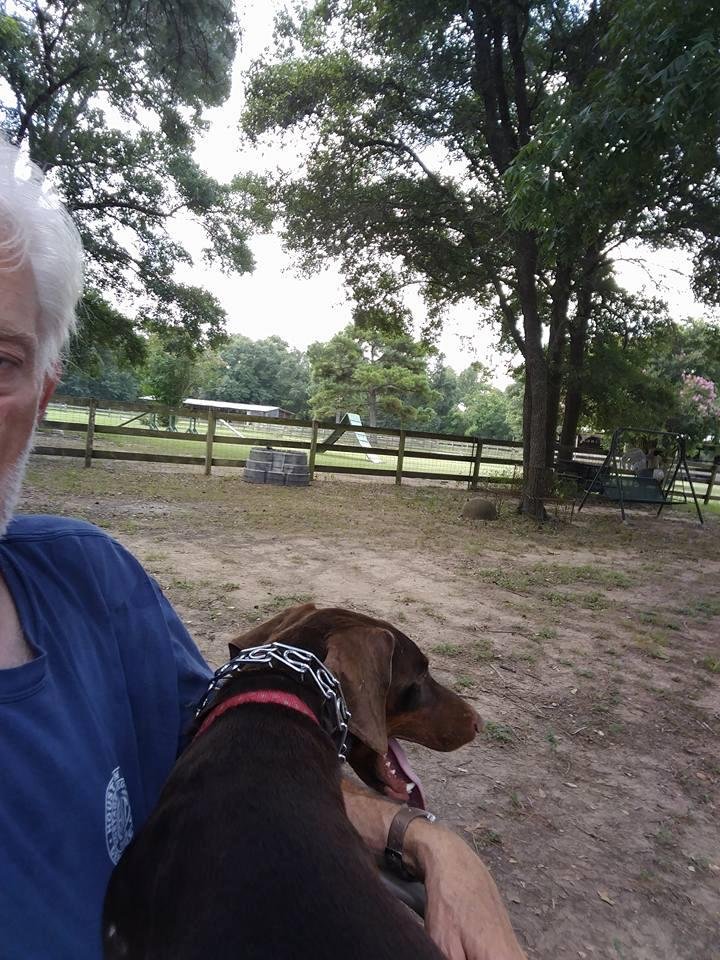 Three foster dogs on porch with me. Archie dosen't want to share. If he's in my lap he dosen't have to. This big red baby needs his own human. Go to Houston Area Doberman Rescue.