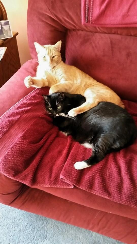Just resting from a hard days work.