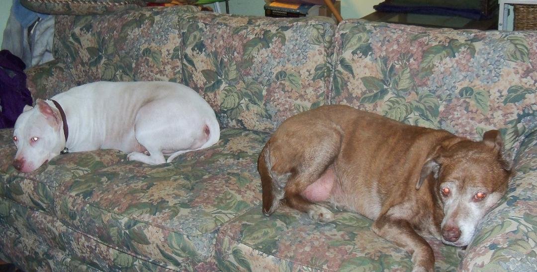 sara and grace