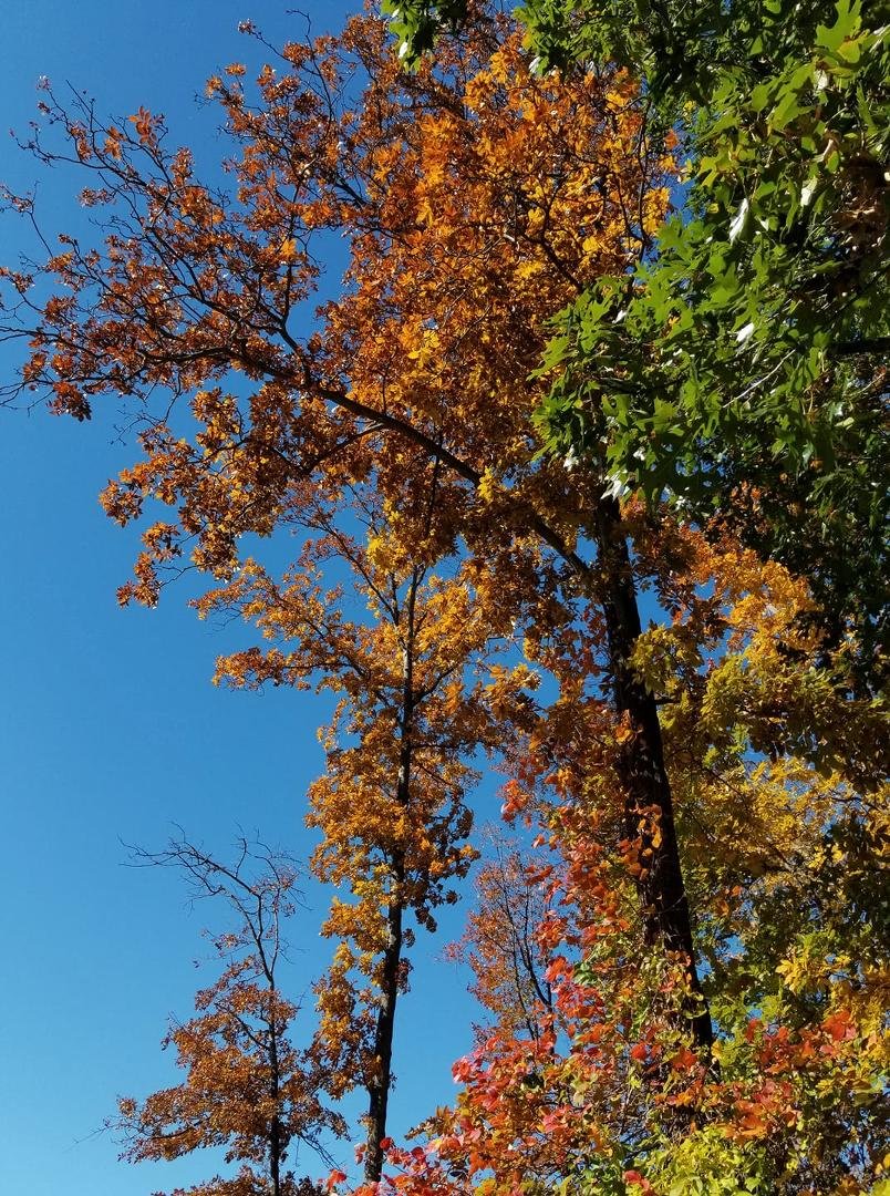 Amazing colors when the light is right...