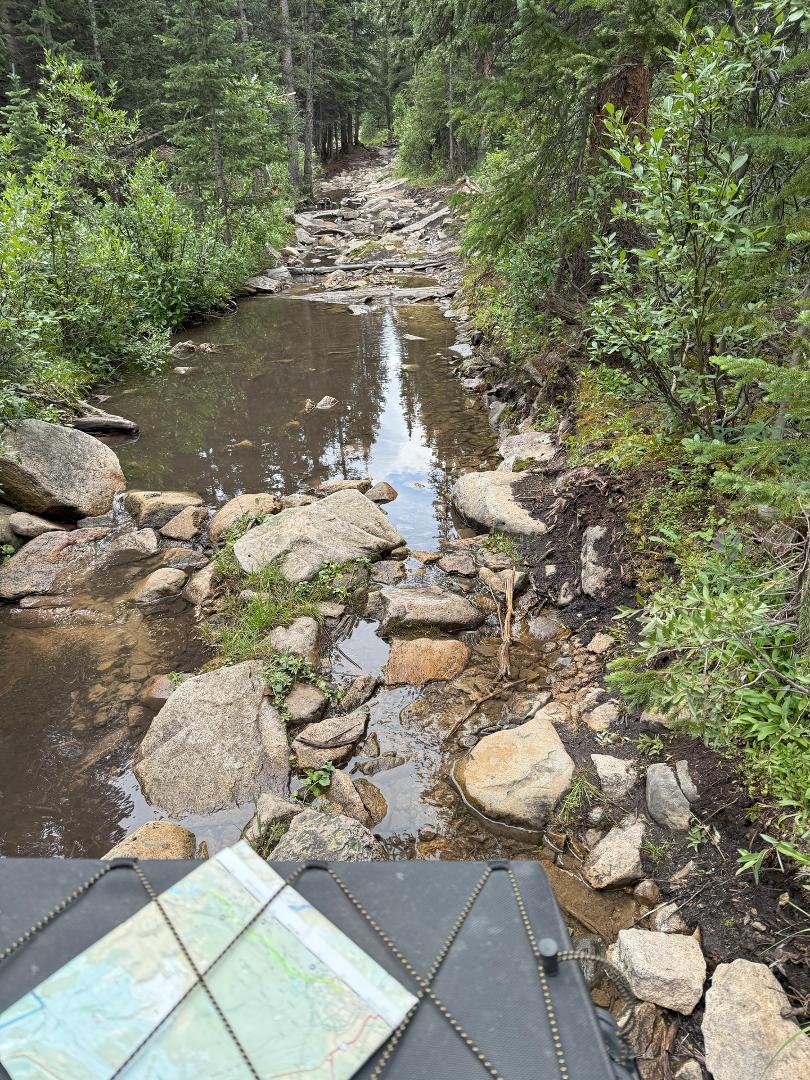Some of the trails were a bit more rugged and challenging! Definitely not one of the "wheel chair accessible" trails!