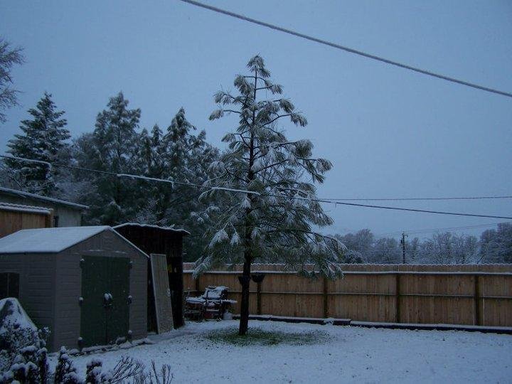 Edwin Benner's album, January 1, 2011