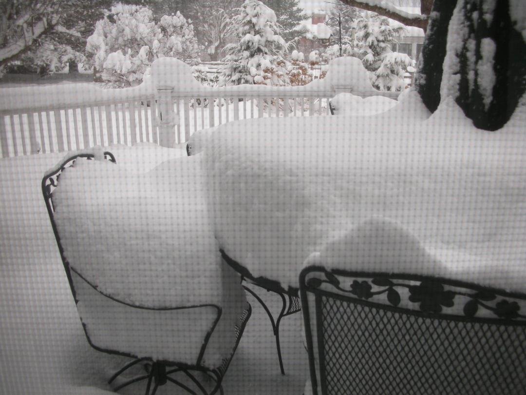 Saturday morning and it's still snowing!