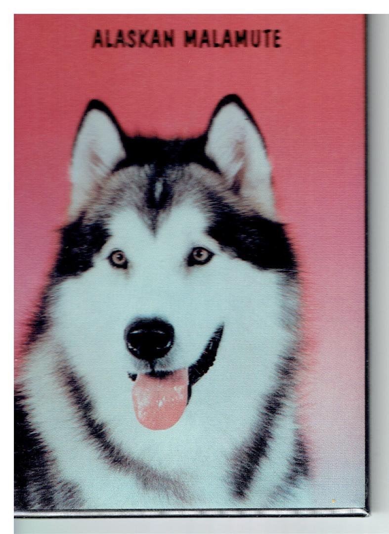 This brought back some memories.  My late wife and I had a really good dog named Sugar.  One day we drove through a Dairy Queen and got some food to take home.  Sugar sat quietly on the back seat until the attendant held ou