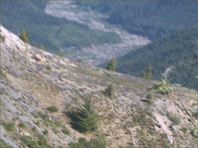 Toutle River From Windy Ridge