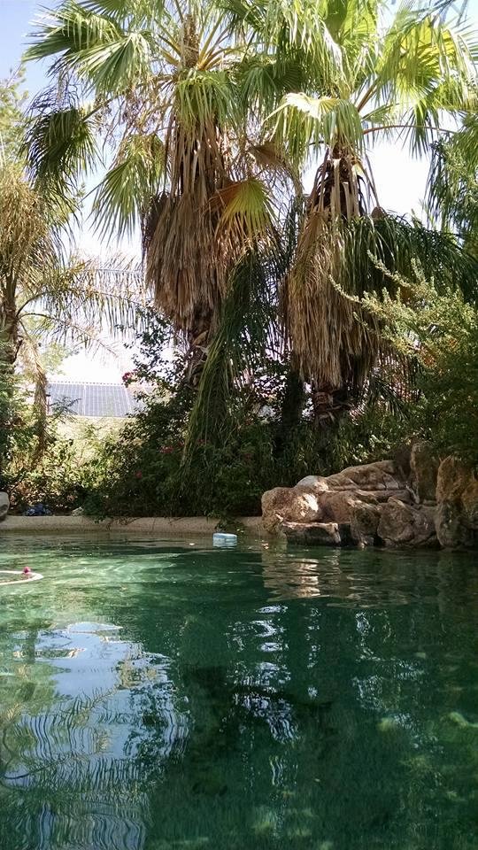 The heat did me in finally. Jumped into my pool to cool off, and to my surprise not really the water is bath water warm.Time to go back up the mountain.😉😉😉😉