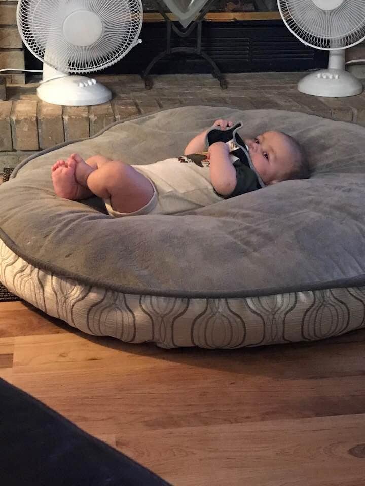 Someone’s taking over Otis’ dog bed!!  Perfect for baby Maximus