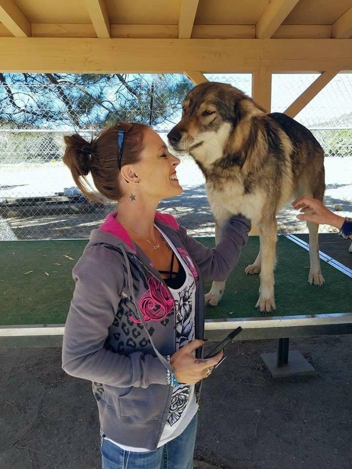 Melanie Phelps' album, Timeline Photos