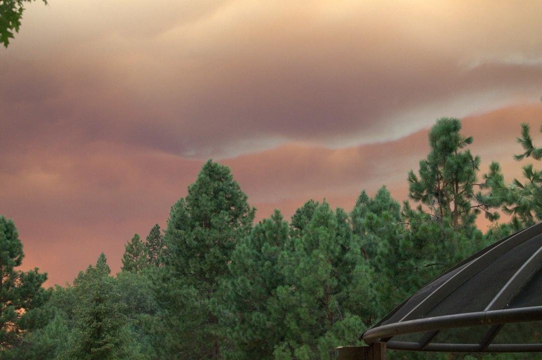 Looking North from our backyard