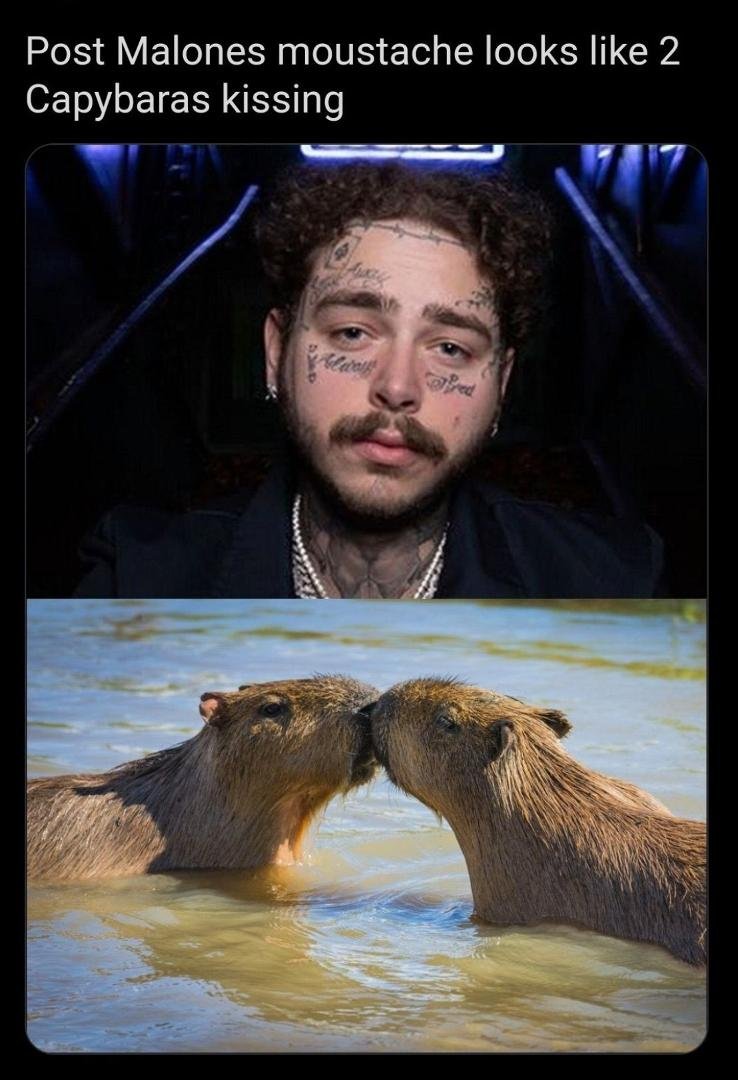 Blahahaha