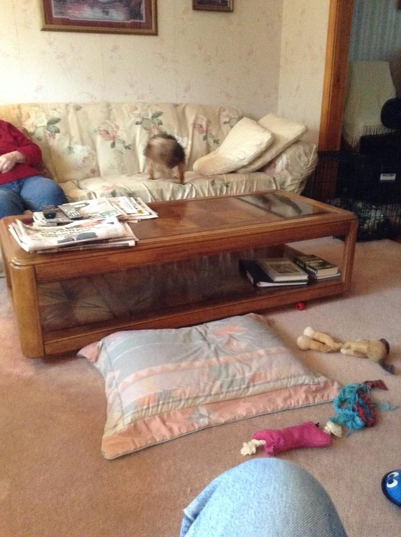 Ronald McCall's album, iOS Photos