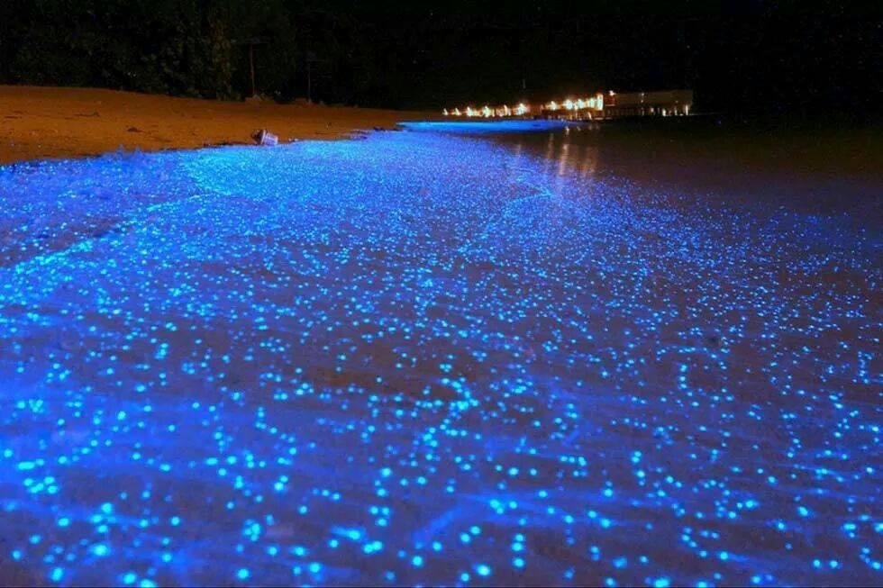 Beautiful would love to see this sometime