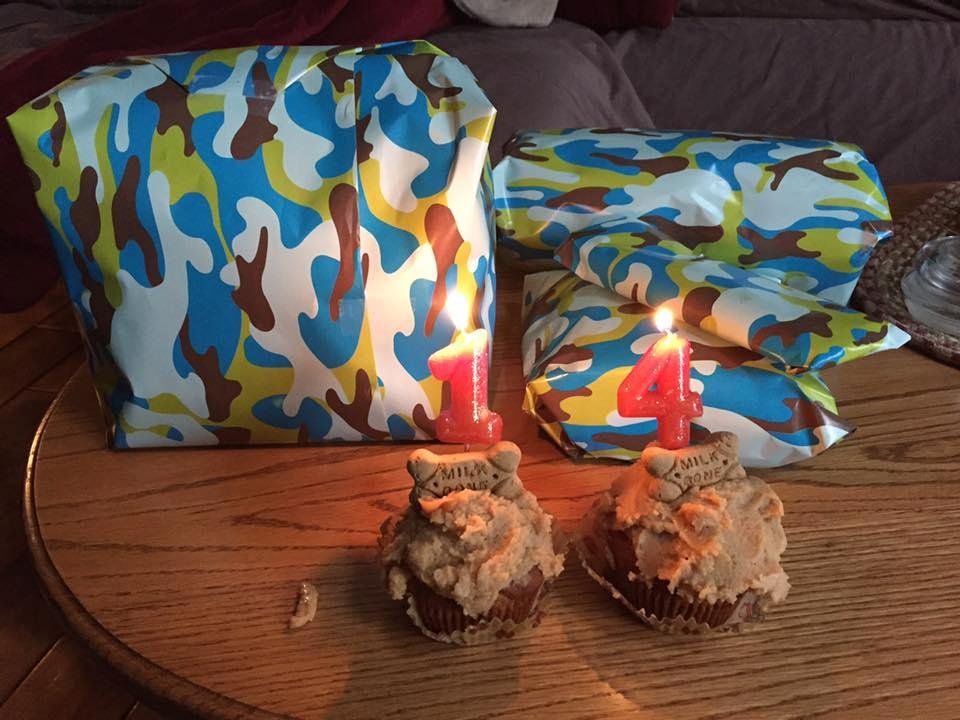 Teri McCool's album, Mobile Uploads