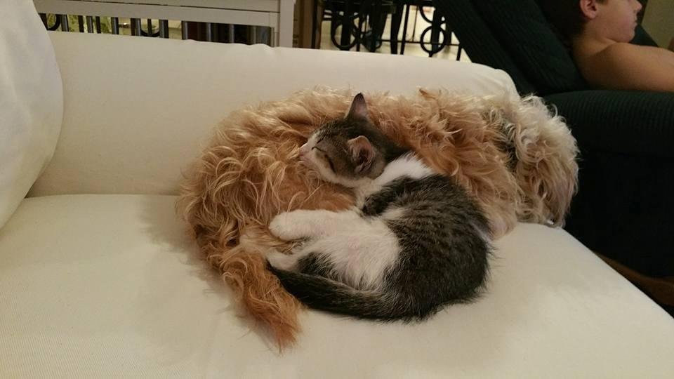 Bunny and Beaucoup