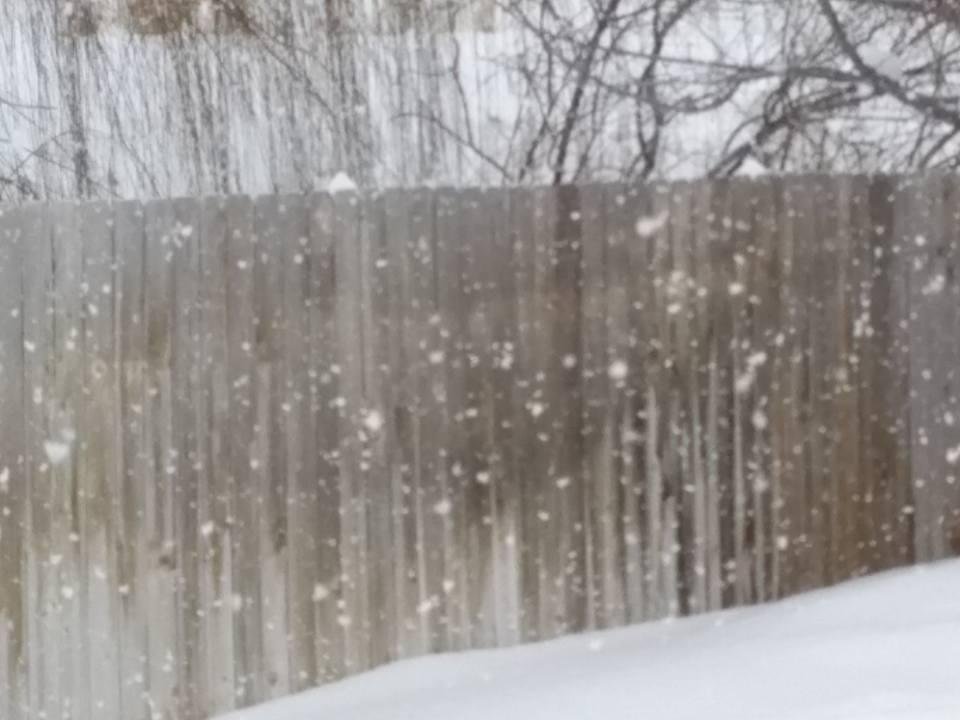I think that it's starting to snow!!!