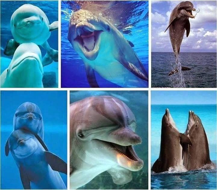 Everyone should play with them once in there life