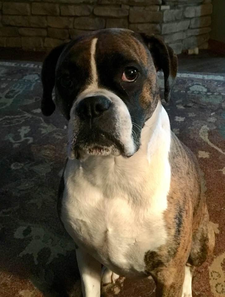 Ginger and Robert Patterson's album, Timeline photos