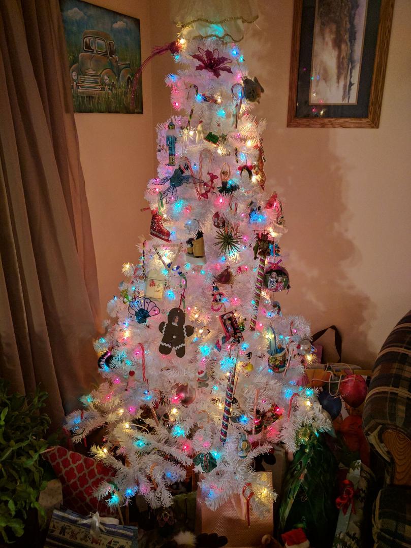 Got the tree up today. Not typical green one but it's purty.😎