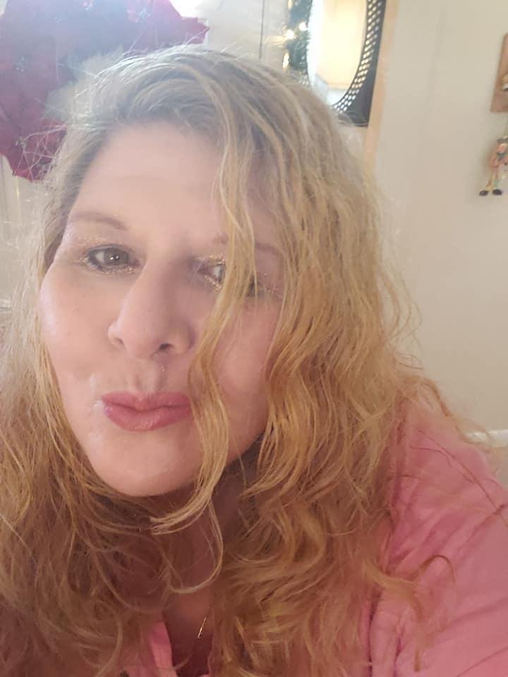 Sheila Cook's album, Mobile Uploads