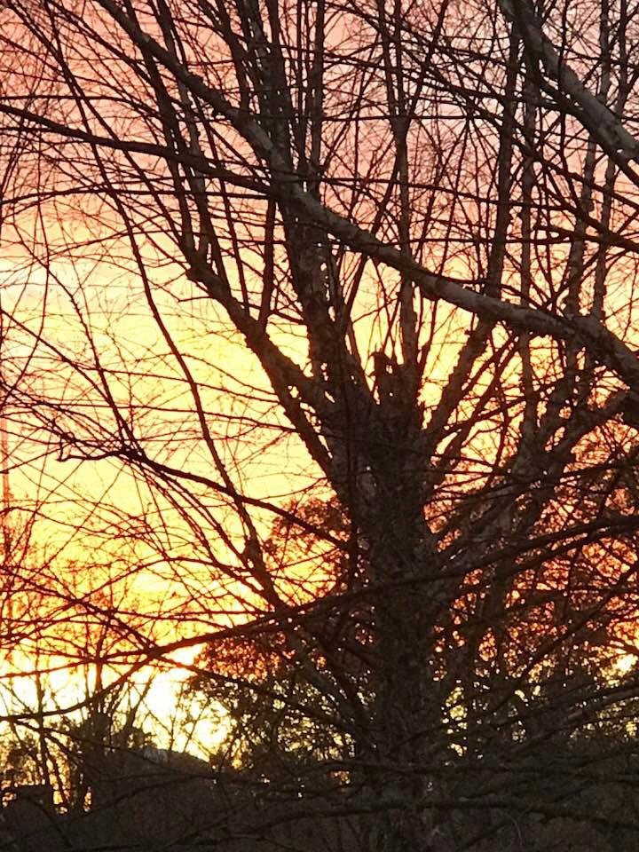 Artistry in the Sky!
