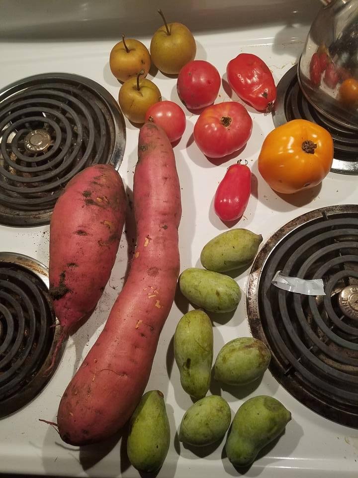 Dennis Nicholson's album, Mobile Uploads