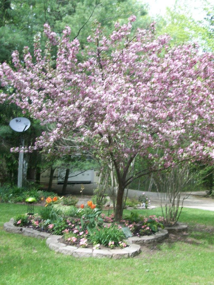 Sharon Smith's album, Timeline Photos