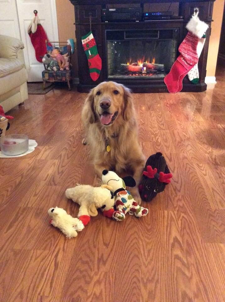 Caleb’s Third Birthday! A boy and his toys.