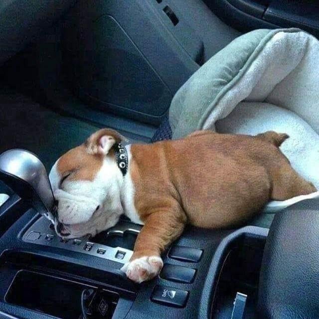 Mornin', wakey wakey !