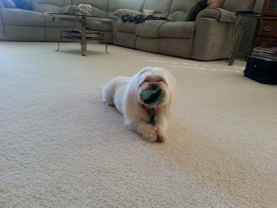 Caught in the act little sock thief