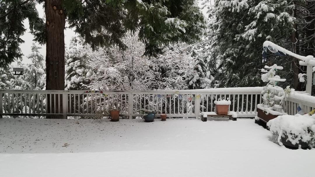 First snow of the season here
