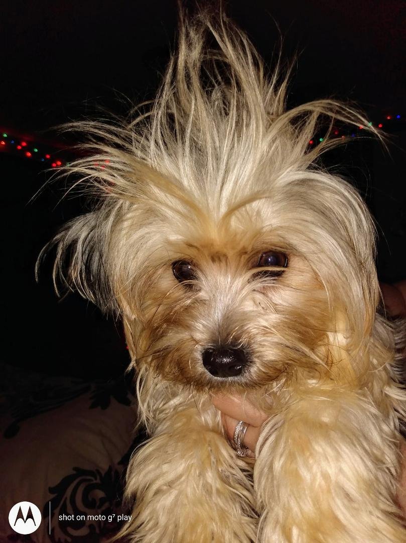 Talk about a bad hair day