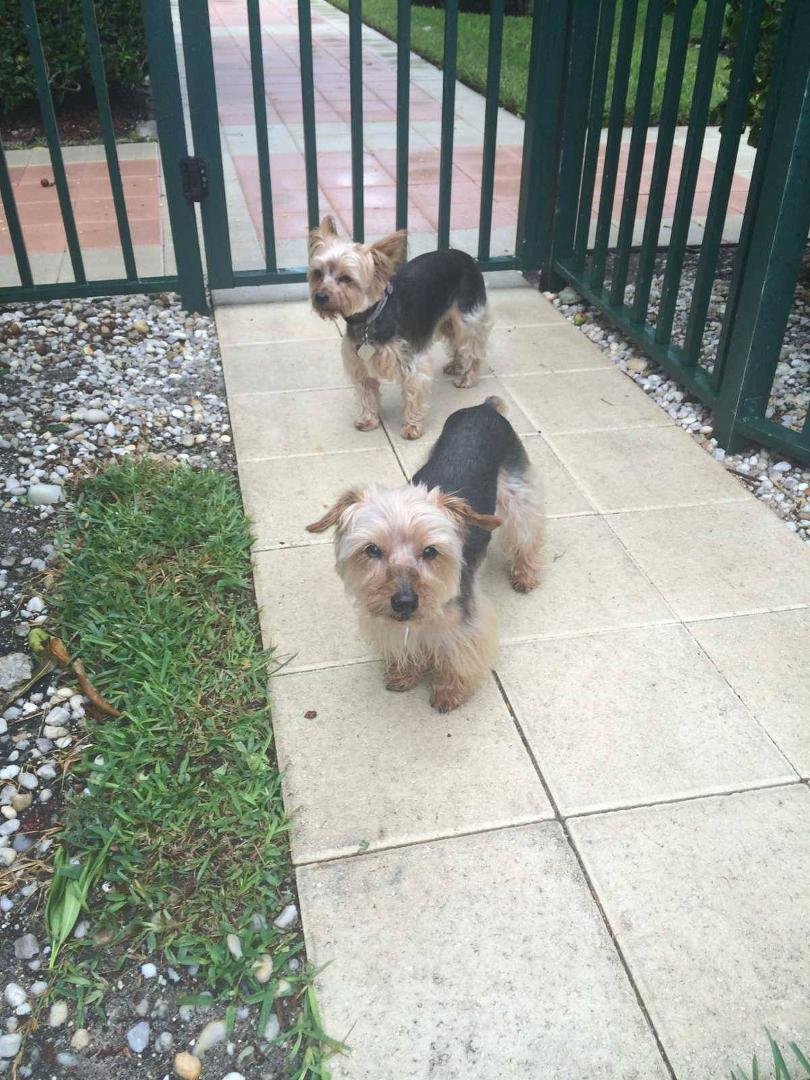 We are doing OK dad. Wendy sent you this picture of us.