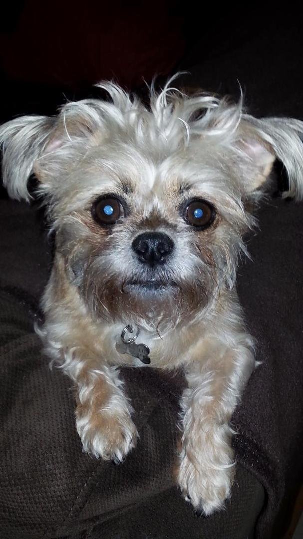 My little Bella Lu Boudreau