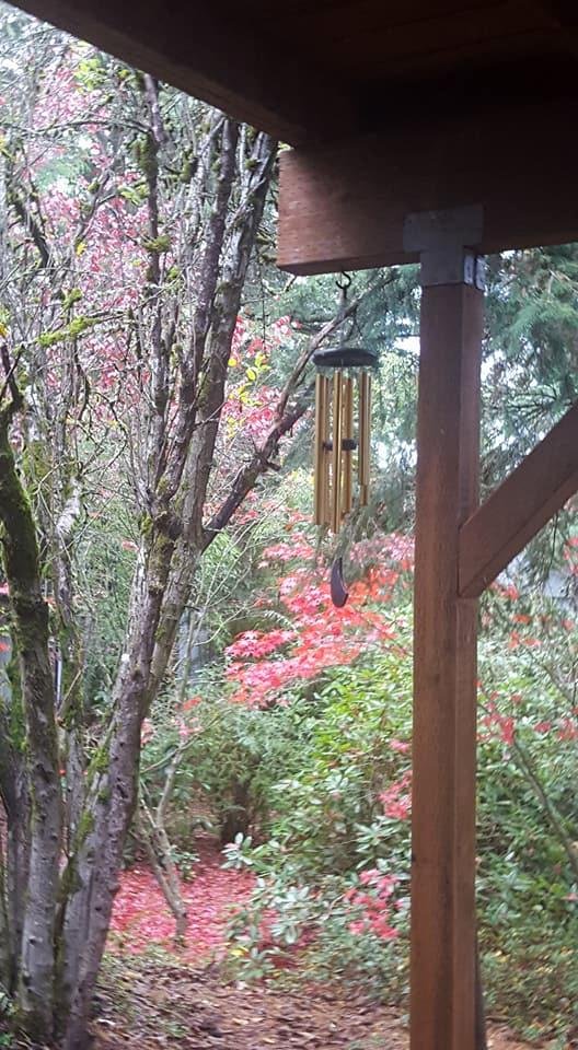 Debra Robel's album, Timeline Photos