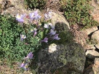 John Edwards' album, Timeline Photos