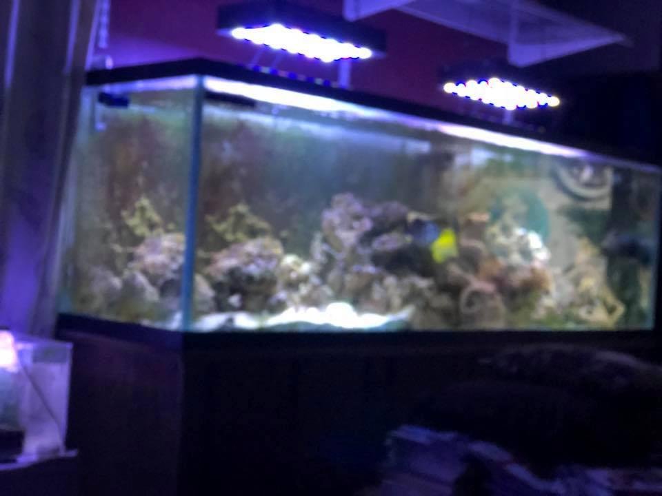 stephen austin's album, Mobile Uploads