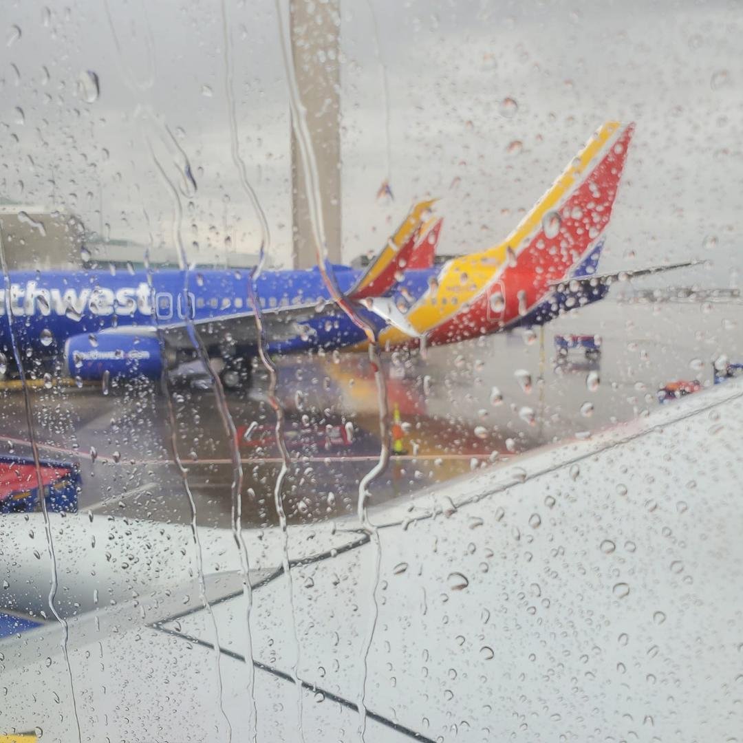 Liquid sunshine in Denver.